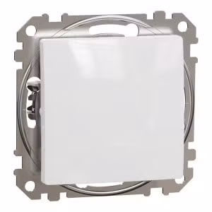 sedna2025/SDD111101_2