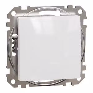 sedna2025/SDD111106_2