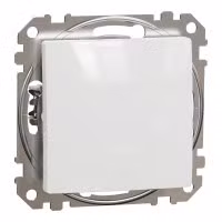 sedna2025/SDD111107_3