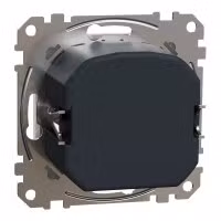 sedna2025/SDD111501_2