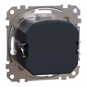 sedna2025/SDD111501_2