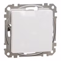 sedna2025/SDD111904_3