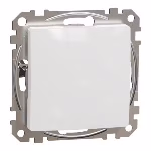 sedna2025/SDD111904_3