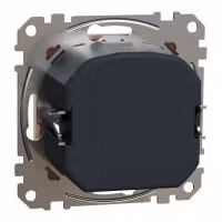 sedna2025/SDD112501_2