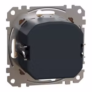 sedna2025/SDD112501_2