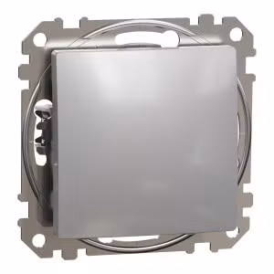 sedna2025/SDD113101_3