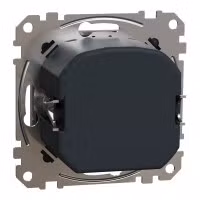 sedna2025/SDD113501_2