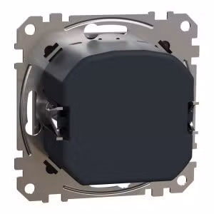 sedna2025/SDD113501_2