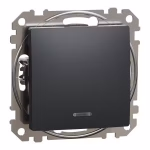 sedna2025/SDD114106L_2