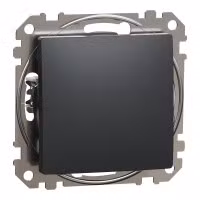 sedna2025/SDD114106_2