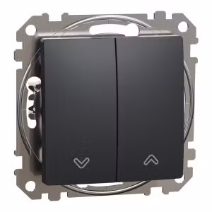 sedna2025/SDD114114_2