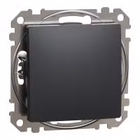 sedna2025/SDD114116_2