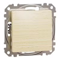 sedna2025/SDD180111_3