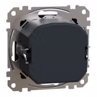 sedna2025/SDD181501_2