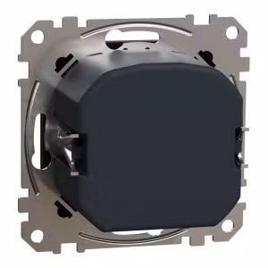 sedna2025/SDD181501_2