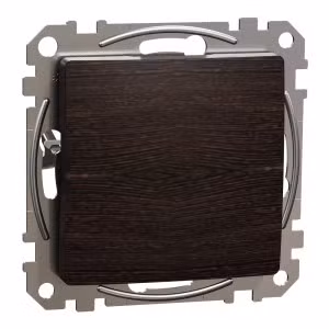 sedna2025/SDD181904_3