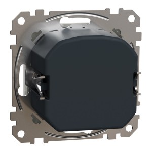 sedna2025/SDD111501_2