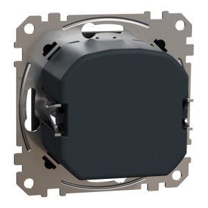 sedna2025/SDD114501_2